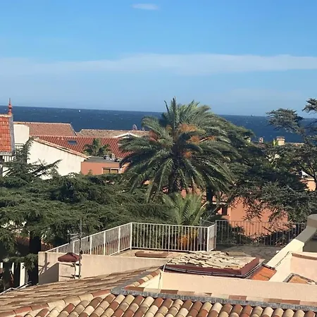 Centre Palais De La 100m Port Et 300m * 생트막시메