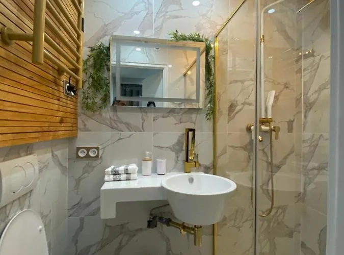 Centre Palais De La 100m Port Et 300m 생트막시메