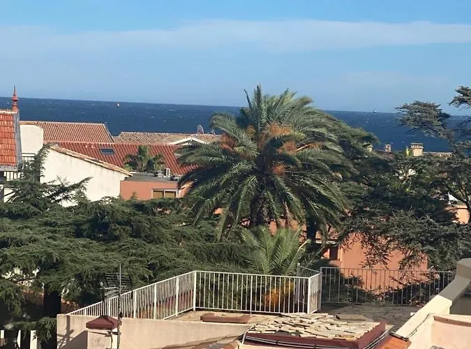 Centre Palais De La 100m Port Et 300m * 생트막시메